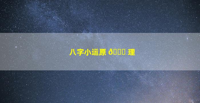 八字小运原 💐 理